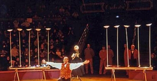 Numéros de cirque