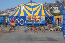 Cirque en salle ou sous chapiteau