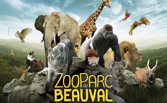 ZooParc de Beauval : séjour, sortie groupe et billetterie CSE, devis et tarifs 2025 !