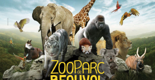 ZooParc de Beauval : séjour, sortie groupe et billetterie CSE, devis et tarifs 2025 !