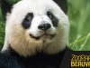 ZooParc de Beauval : séjour, sortie groupe, billetterie CSE et association !