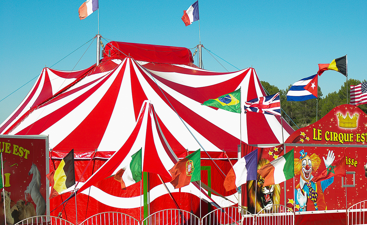 Billetterie cirque pour CSE et groupe pour Arbre de Noël, spectacle de fin d'année...