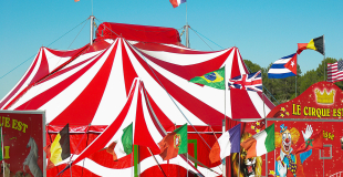 Billetterie cirque pour CSE et groupe pour Arbre de Noël, spectacle de fin d'année...