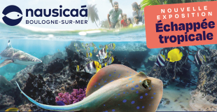 Aquarium Nausicaá : sortie groupe, billetterie CSE et association !