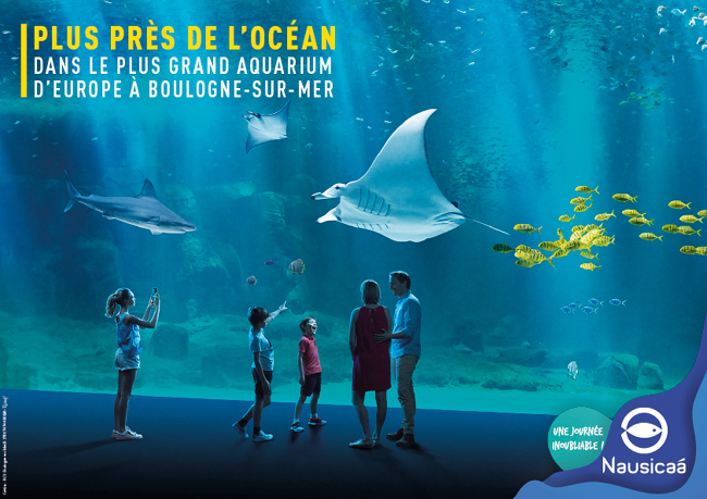 Aquarium Nausicaa : sortie groupe et billetterie CSE, devis et tarifs 2025 !