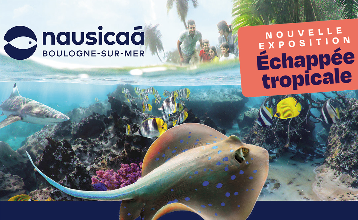 Aquarium Nausicaá : sortie groupe, billetterie CSE et association !