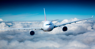 Organiser un voyage long-courrier avec son CSE : quelle organisation ?