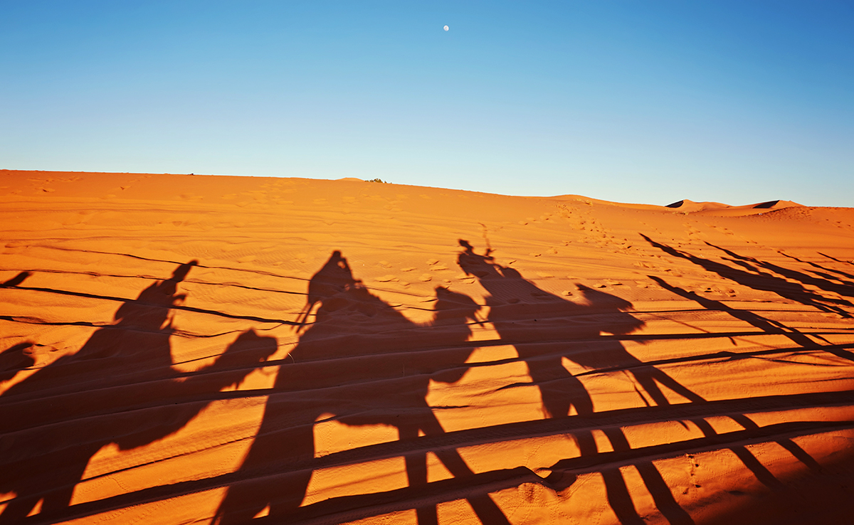 Circuit Maroc pour groupe, CSE et association !