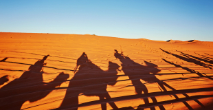 Circuit Maroc pour groupe, CSE et association !