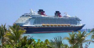 Organiser une croisière (Méditerranée, Antilles, Fjord, etc) pour groupe et CSE