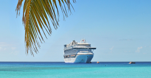 Croisière (Méditerranée, Antilles, Fjord, etc) pour groupe, CSE et association !