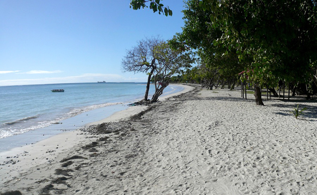 Voyage groupe en Guadeloupe ou Martinique pour CSE : conseils et devis