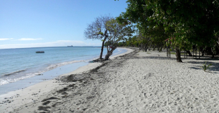 Voyage Guadeloupe ou Martinique pour CSE : conseils, devis et tarifs 2025 !