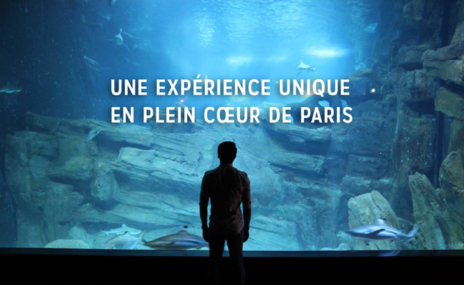 Aquarium de Paris - Cineaqua : billetterie et sortie groupe CSE, devis et tarifs 2025 !