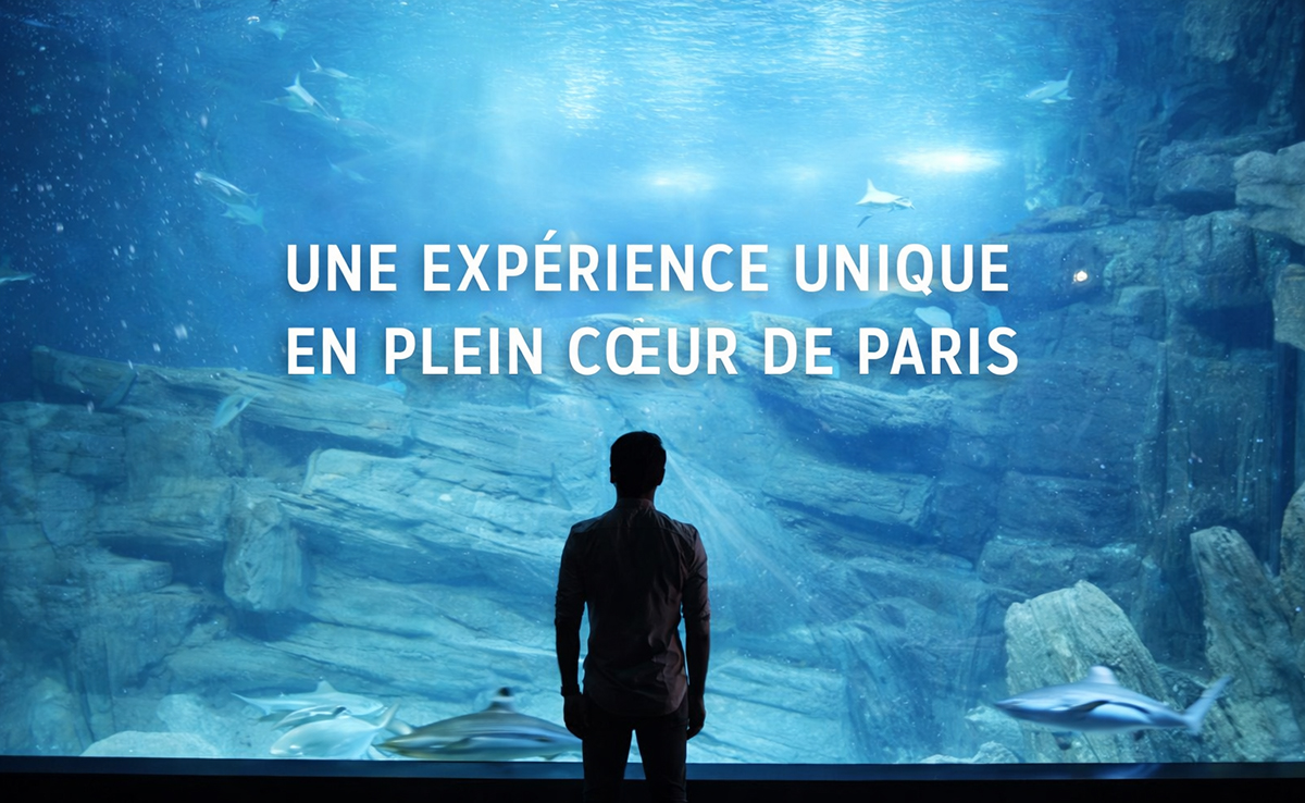 Aquarium de Paris : sortie groupe, billetterie CSE et association !