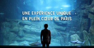 Aquarium de Paris - Cineaqua : billetterie et sortie groupe CSE, devis et tarifs 2025 !
