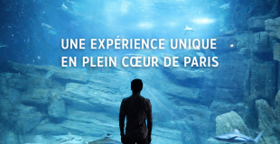 Aquarium de Paris : sortie groupe, billetterie CSE et association !