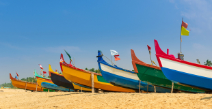 Voyage au Sénégal pour CSE, groupe et association !