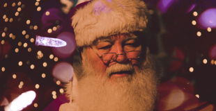 Organiser un arbre de Noël via le CSE : conseils, devis et tarifs 2025 !