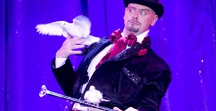 Magie pour comité d'entreprise