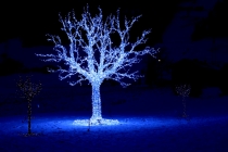 Arbre de Noël Swarowski (Autriche)