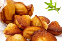 madeleine-verveine-tropicale-1